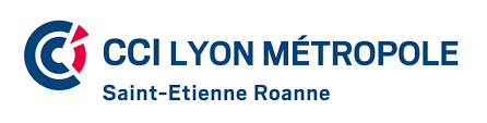 cci gestionnaire de patrimoine lyon bilan patrimonial cgp immobilier