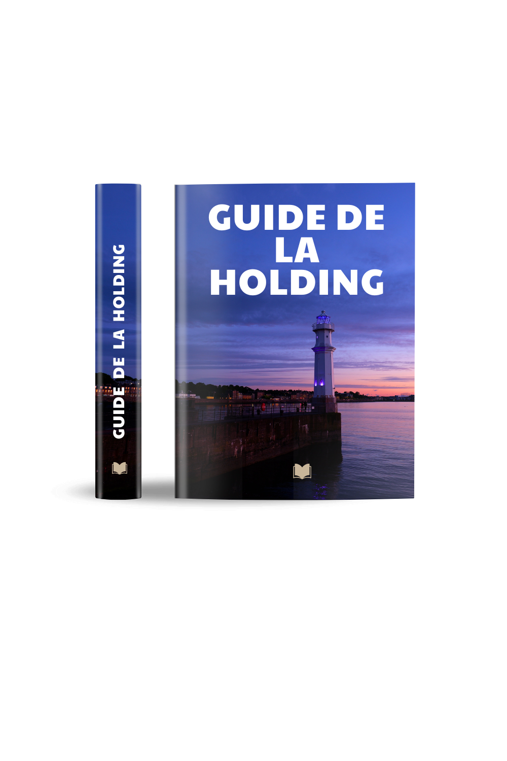 Guide de la holding un levier d'optimisation fiscale