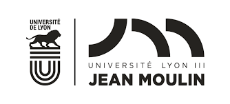 université jean moulin lyon 3 gestion de patrimoine